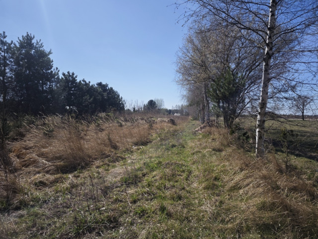 Wyględy-urokliwa działka z drzewami